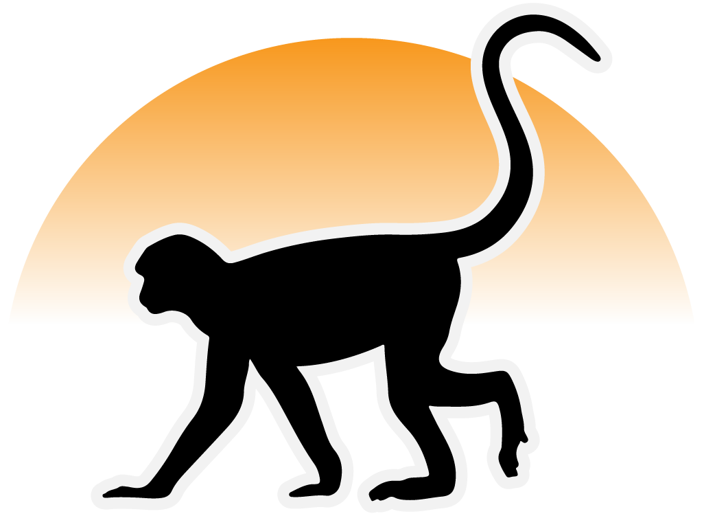 Telecommunications Systems