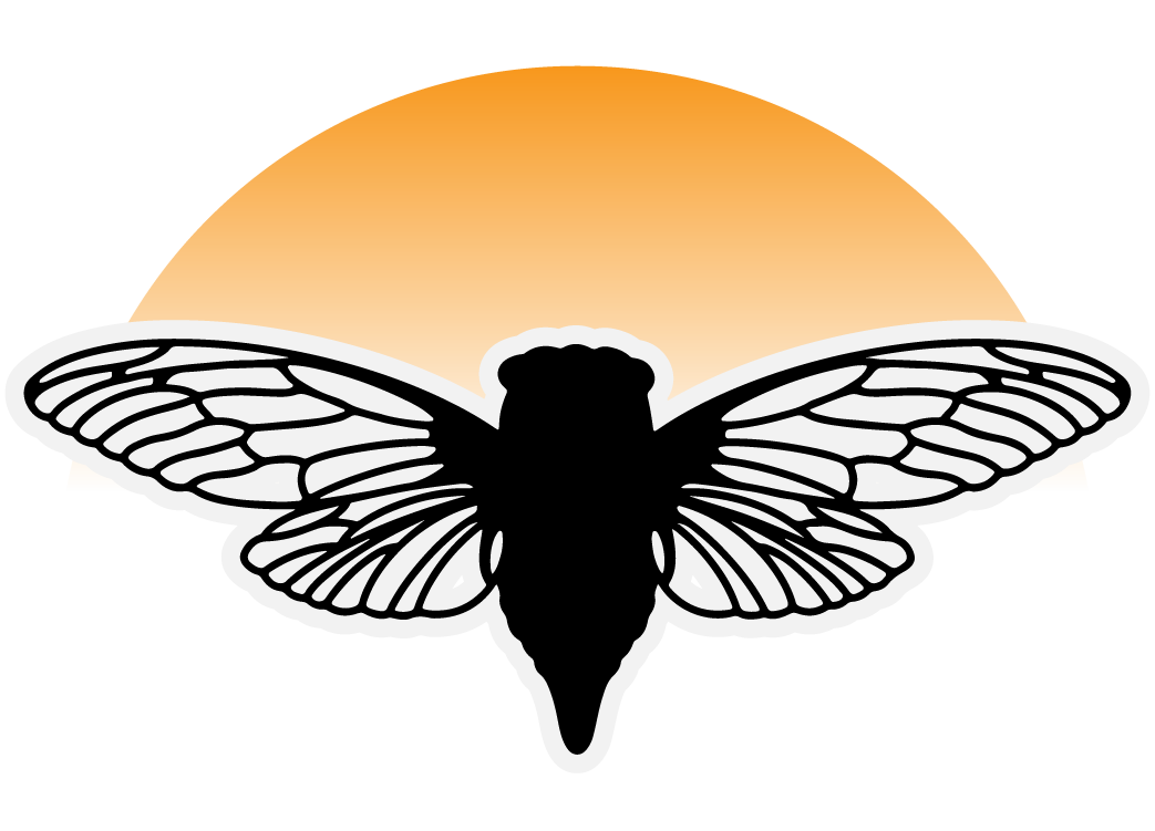 Electrical Systems And Services